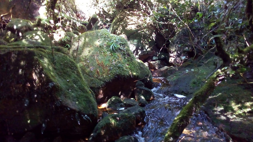 Rio Taquari