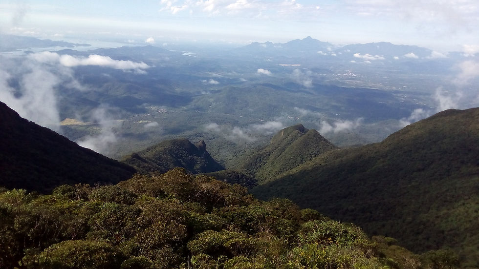Vista desde o Cume do Morro Casfrei