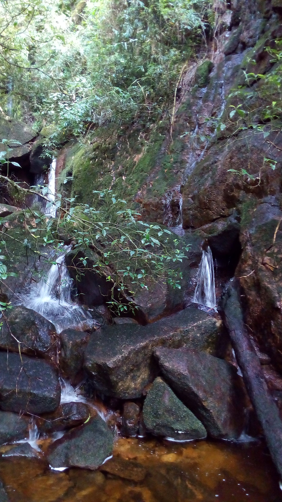 Rio Taquari