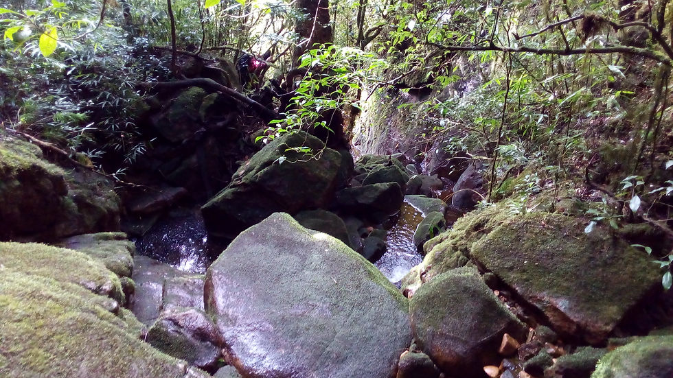 Rio Taquari