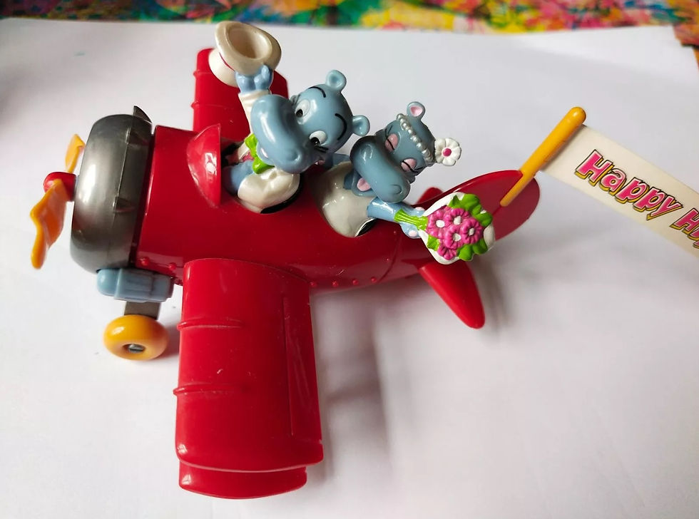 Svatební výlet hrochů v letadle