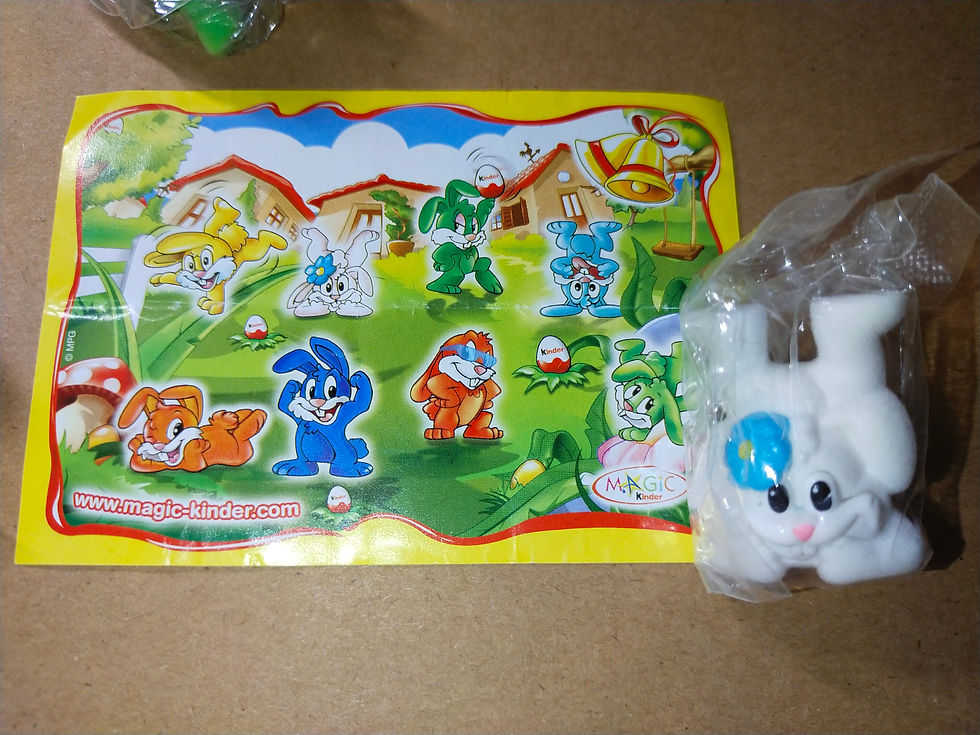 Roztomilá hra s králíčky a domečky