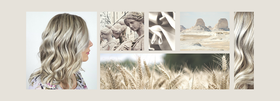 Stoneground Wheat .png