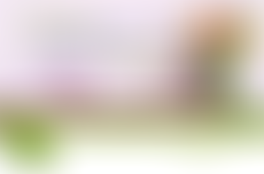 Shop Local, Celebrate Moms and win big written on a pink background. bouquet of tulips. Contest