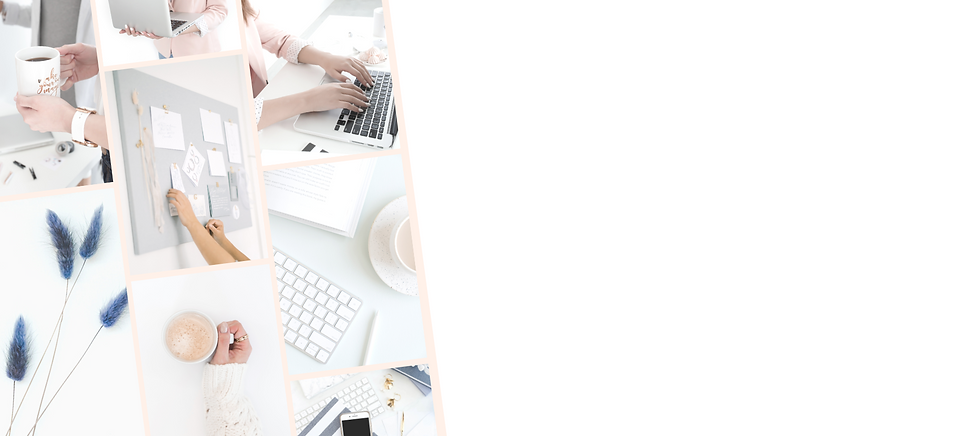 Truly Creative Marketing - Website - Collage for Services