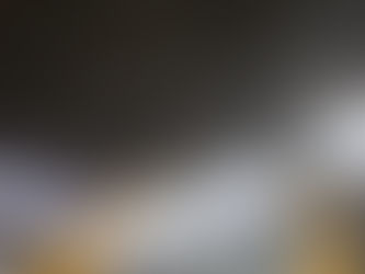 【防鳥施工】豊橋市T社様(製造工場/屋根裏)