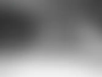 【イタチ捕獲】岡崎市M様(個人宅/屋根裏/軒下)