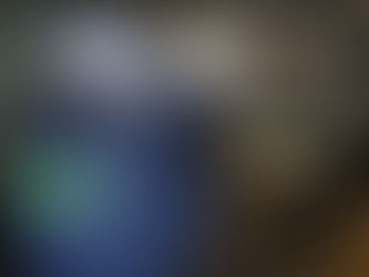 【ゴキブリ防除】豊橋市T様(飲食店)