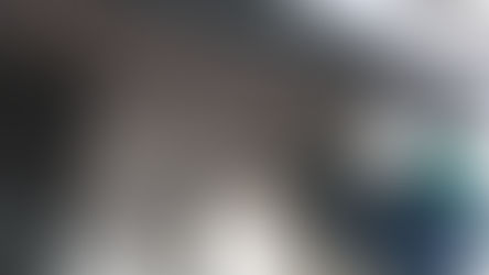 【コウモリ防除】豊橋市O様