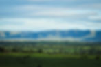 026DB9C0-B512-47DB-B82B-4355E43FAC12.jpeg