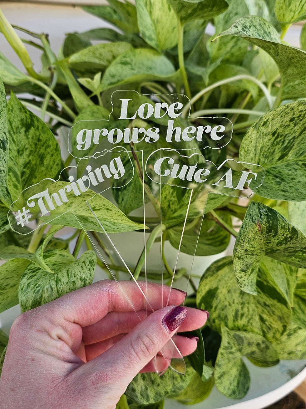 Meaningful Acrylic Plant Stakes 🩷 3 Pack