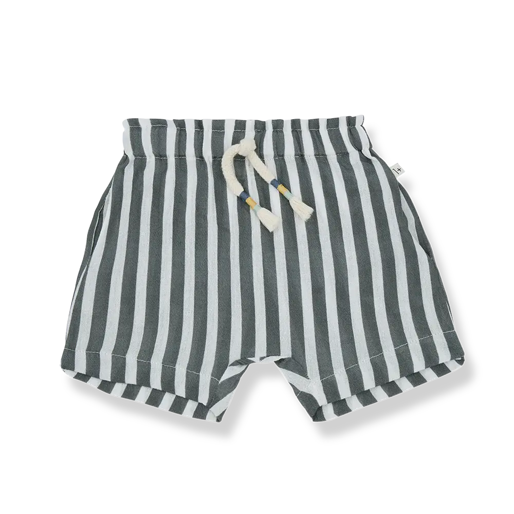 1 + in the Family - GIOTTO Short