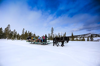 Activities_Winter Sleigh Rides.jpg