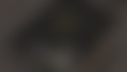 Typos, Tears & Triumphs: Indie Author Survival Kit