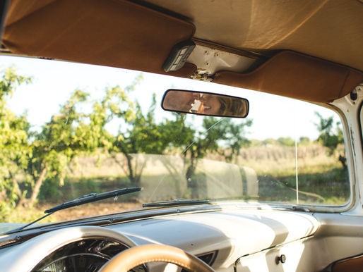 Sometimes You're the Windshield...