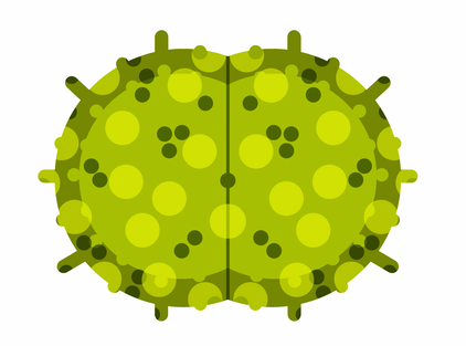 Screen Shot 2022-07-22 at 1.55.30 PM.png