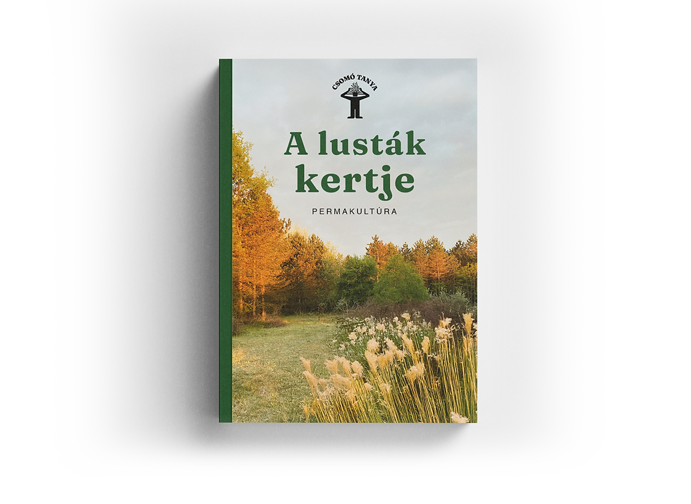 Borító