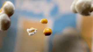 1 YOKI Edit8 30s ONLINE leve_1.gif