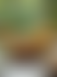 チャットGPTで自分にぴったりのダイエットメニューを作成し5㎏減量した方法とは