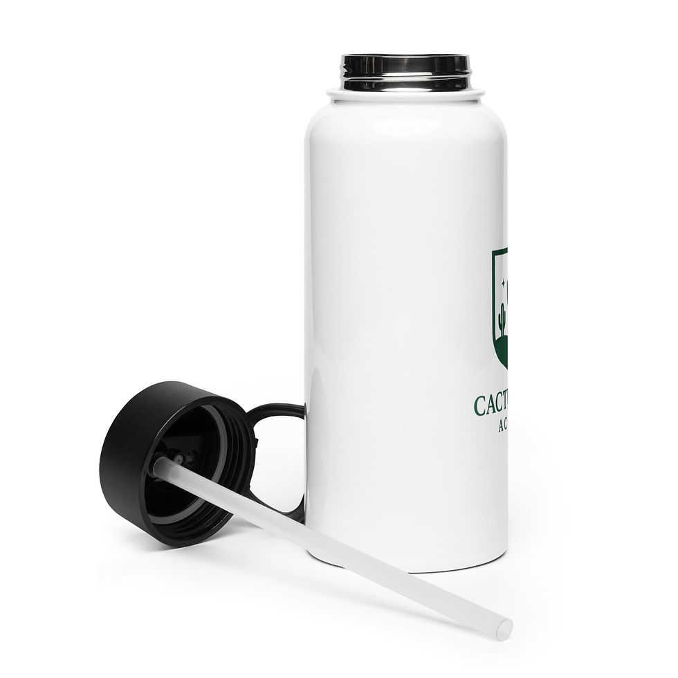 Thumbnail: Stainless steel water bottle with a straw lid