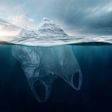 untitled image