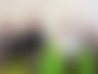 Cachette dans l'école à l'Halloween