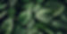 mobilechallenge-4k-wallpaper-blatter-807