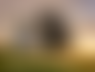 Church Attendance Patterns