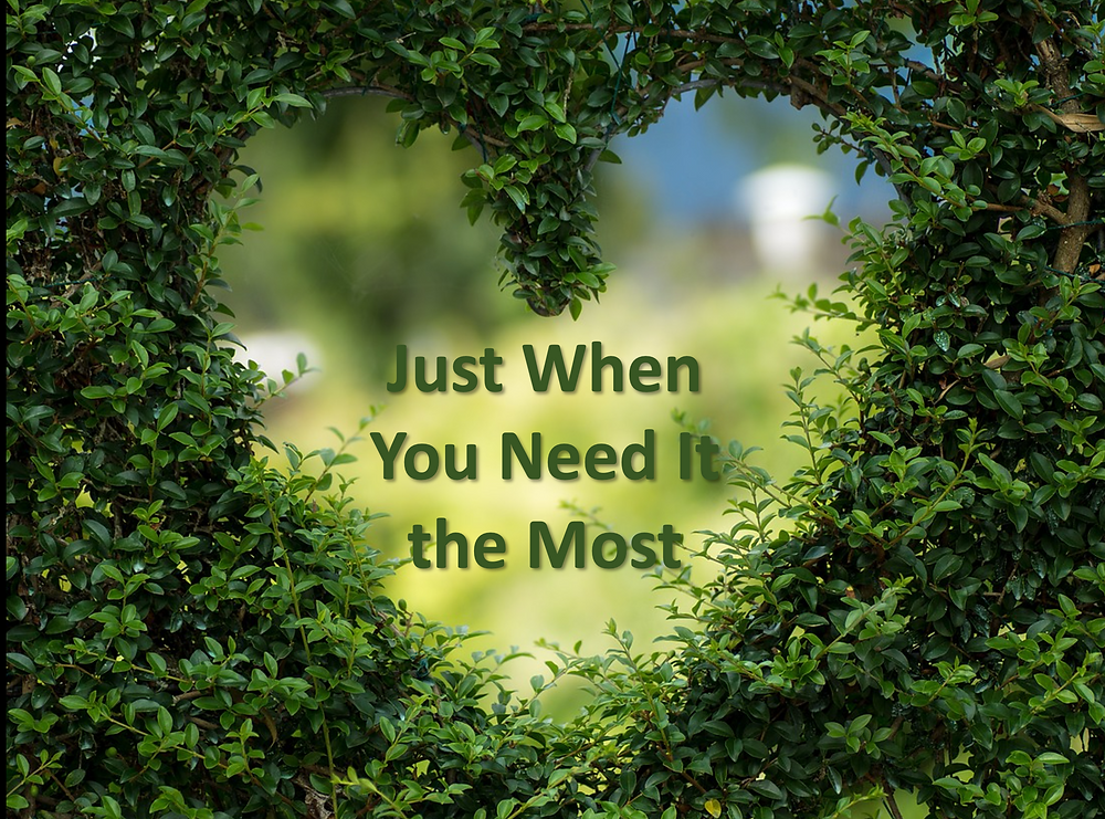 Just When You Need It The Most Just When You Need It The Most