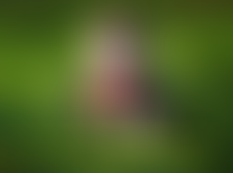 Kids...the Decision Makers