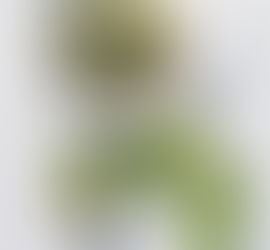 KALE TABBOULEH by Barney Desmazery