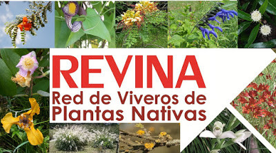 Conocé a uno de nuestros aliados estratégicos: la Red de Viveros de Plantas Nativas de Argentina