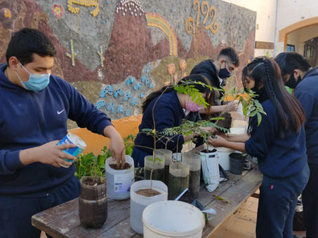 El Colegio Jacques Cousteau impulsa un vivero forestal desde el cual donan árboles a la comunidad