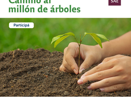 Crece la iniciativa en la provincia de Córdoba