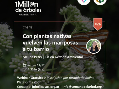 Revivi nuestro XXVI Webinar: Con plantas nativas vuelven las mariposas a tu barrio