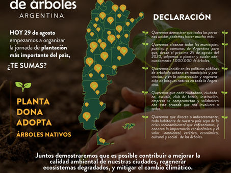 Campaña #MillónDeÁrboles 🌳