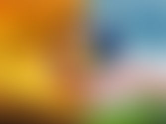 The proposal of the Ecological Economy