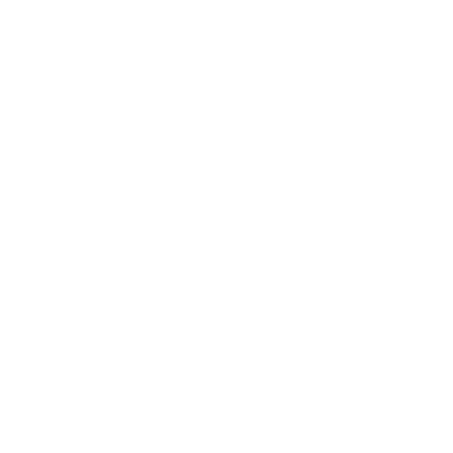 Section 2 icons (1).gif