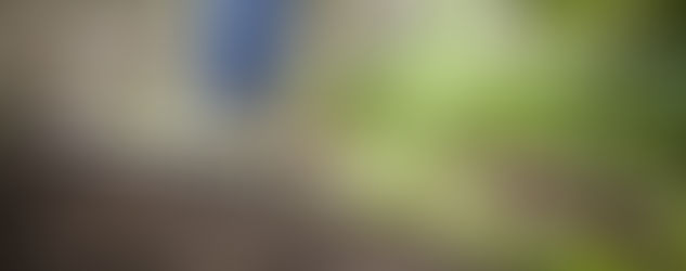 Come preparare il terreno per coltivare il proprio orto