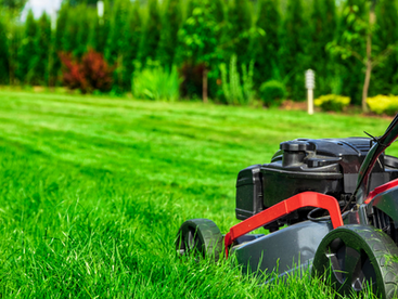MANUTENZIONE PRE-ESTIVA NEL GIARDINO