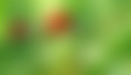 Conosciamo i prodotti: gli INSETTI UTILI