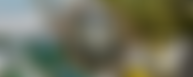 Piano di concimazione per OLIVI