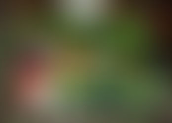 Estate in orto Giugno-Luglio-Agosto