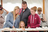 DRIFFIED SHOW BAKING