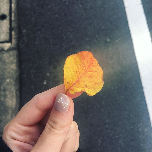 秋燃ゆ。