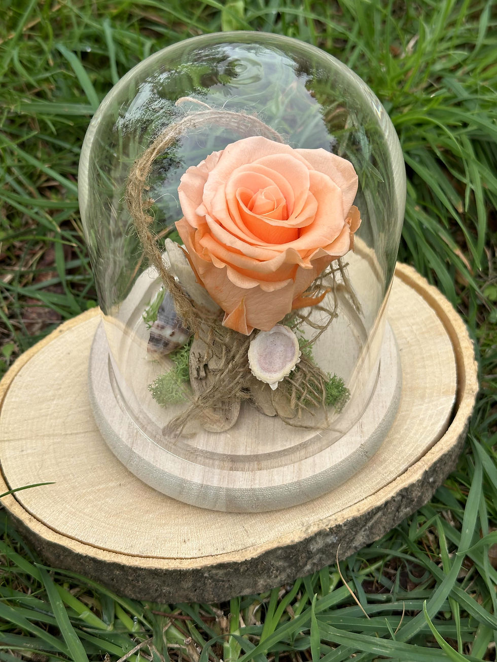 Miniature : Cloche rose éternelle Pêche | 10x15 cm