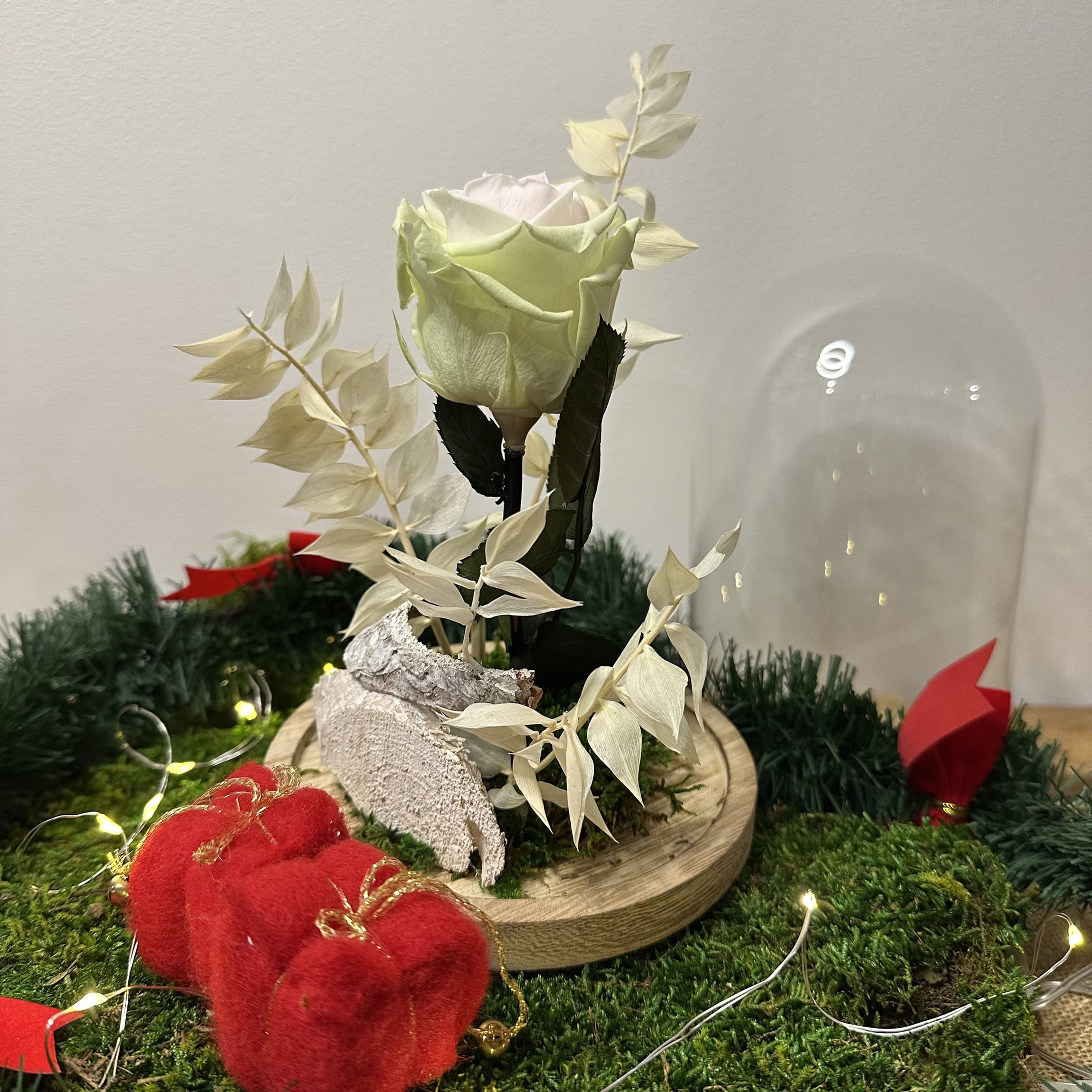 Rose éternelle sous cloche Forêt blanche | 14 x 21 cm