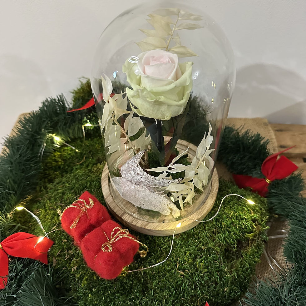Miniature : Rose éternelle sous cloche Forêt blanche  |  14 x 21 cm