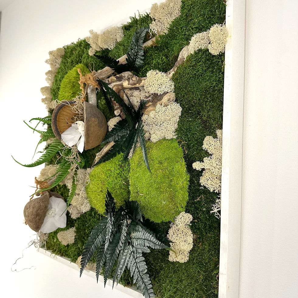Miniature : Cadre végétal SALAZIE |  50 x 50 cm