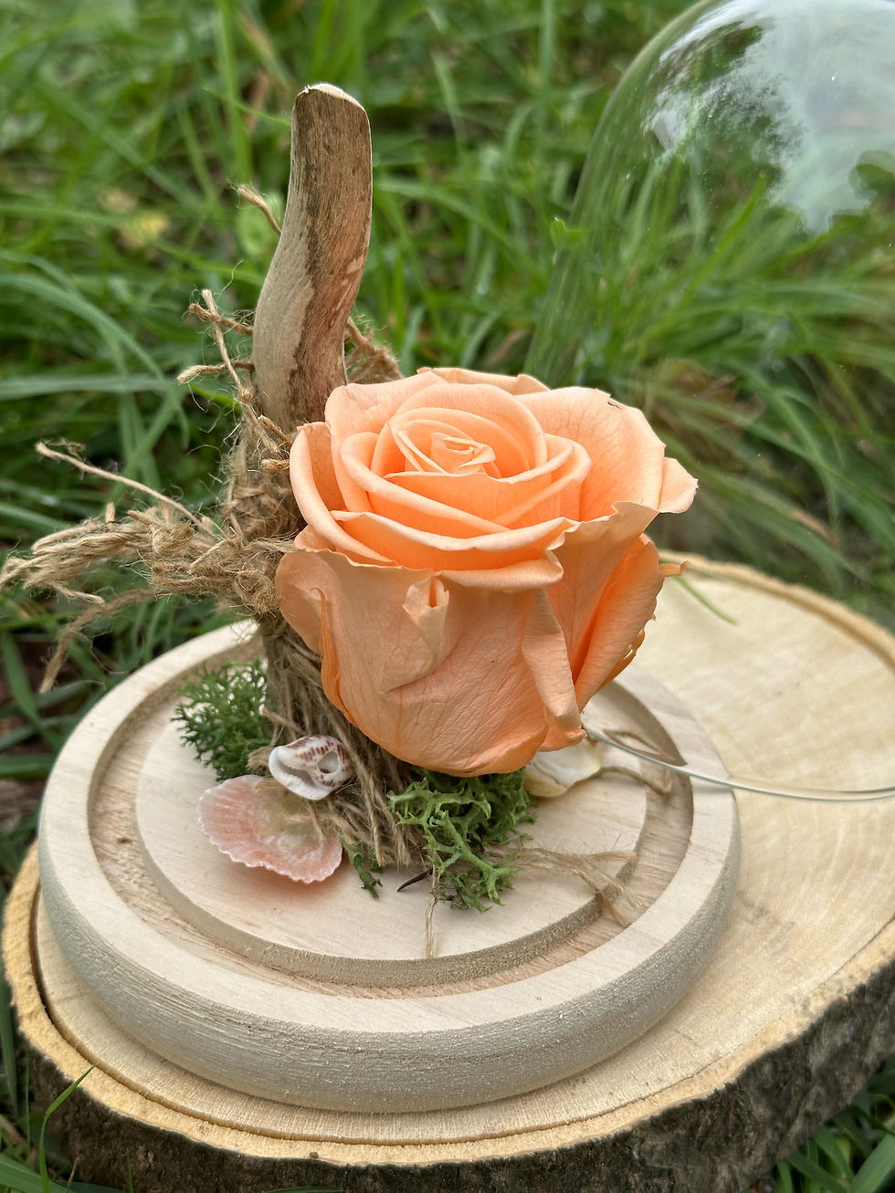 Miniature : Cloche rose éternelle Pêche | 10x15 cm